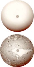 Ispezione core fibra ottica con microscopio